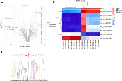 Tumor Cell-Derived Exosomal Circ-0072088 Suppresses Migration and Invasion of Hepatic Carcinoma Cells Through Regulating MMP-16